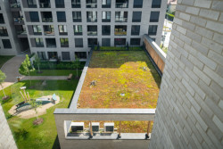 Vítězný projekt v kategorii náš domov: Green Port Strašnice