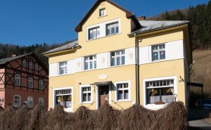 Na občerstvení se můžete zastavit v kavárně U Ježka. Společnost vám budou dělat dva kocouři.