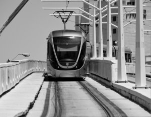 Most strun v Jeruzalémě je již čtyřicátý most, který Calatrava navrhl. Jako první ale slouží tramvajím i chodcům.(Santiago Calatrava, Most strun)