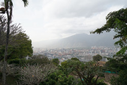 Od 9. března do 4. června 2025 je možné navštívit výstavu Caracas: Zapomenutá metropole modernismu ve Winternitzově vile.