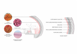Návštěvnické centrum rezervace plameňáků v Abu Dhabi, Petr Janda / brainwork, koncept fasády