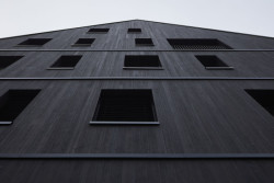 Fasáda z opalovaného dřeva lépe odolá horským podmínkám. (Bytový dům Krušec, monom)