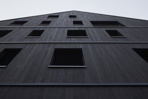 Fasáda z opalovaného dřeva lépe odolá horským podmínkám. (Bytový dům Krušec, monom)
