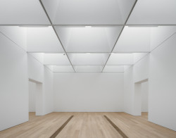 Kantonální muzeum výtvarného umění Lausanne, Barozzi Veiga