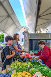 ...ovoce, zelenina a hlavně čerstvé ryby. (Gruž Market v Dubrovníku, studio ARP / Peračić-Veljačić)