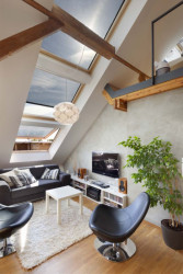 Dalibor Hlaváček, Půdní vestavba Terronská, foto