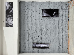 Počin za proces a komunitní přesah: Pluhárna - rekonstrukce interiéru nové haly 