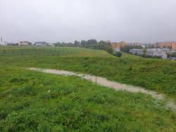 Po dešti. Průlehy zadržují dešťovou vodu.