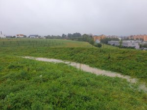 Po dešti. Průlehy zadržují dešťovou vodu.