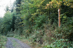 Kaplička Poprad, Samuel Netočný