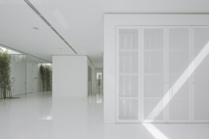 Bamboo Forest, V Studio