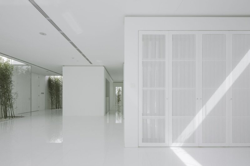 Bamboo Forest, V Studio