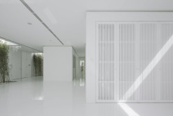 Bamboo Forest, V Studio