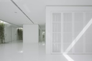 Bamboo Forest, V Studio