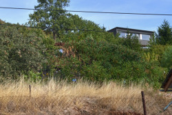 Rodinný dům Kočkov, 3+1 architekti