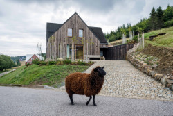 Venkovní zpevněné plochy jsou převážně dlážděny žulovými odseky z mrákotínského lomu, které plynule navazují na opěrné zídky skládané na sucho místními kameníky. (OK PLAN ARCHITECTS, Rodinná bouda)