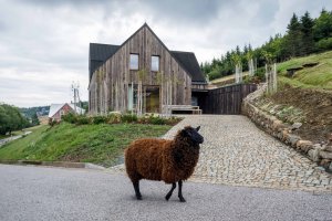 Venkovní zpevněné plochy jsou převážně dlážděny žulovými odseky z mrákotínského lomu, které plynule navazují na opěrné zídky skládané na sucho místními kameníky. (OK PLAN ARCHITECTS, Rodinná bouda)