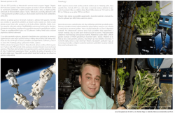 Jana Šmejkalová, Geostacionární vesmírný přístav planety Země / On the Edge - foto