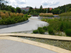 Městský park v centru Jaworzna