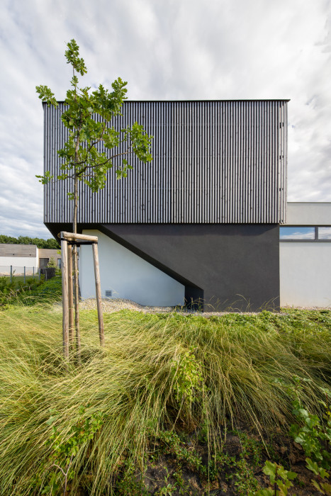 RD Barrandov, Dooom / Igor Bergmann, Ondřej Lukeš