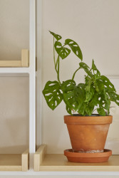 Interiér bytu v Praze od RDTH studia