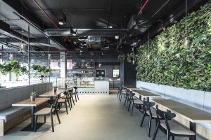 Cafe Enzzo, SOA architekti