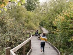 Komunitní centrum s ubytováním Waxall Yard, Clementine Blakemore Architects: Obnova budov se stala katalyzátorem pro řadu dalších sociálních a kulturních aktivit, které zlepšují kvalitu života lidí i přírody