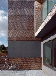 Alison Brooks Architects, Herringbone Houses, foto