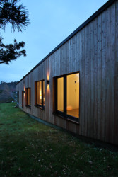 Prodesi/Domesi - Dřevostavba u Benešova: Fasádu pokrývají modřínová prkna