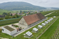 Taneční sál pod vinohradem, SPPA Architekten