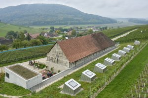 Taneční sál pod vinohradem, SPPA Architekten