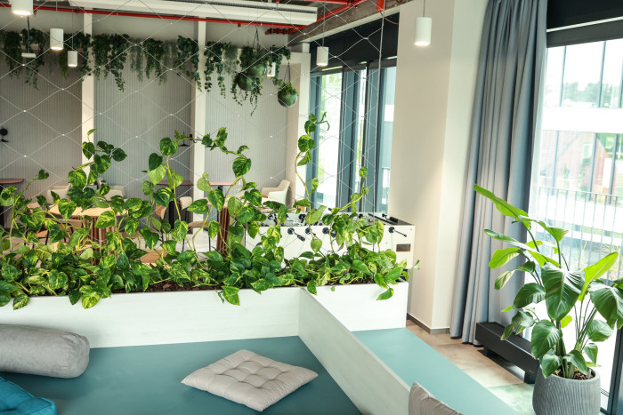 Jungle Interiors přináší zeleň na míru – od zelených stěn, atrií a fasád až po pronájem rostlin s profesionální péči.