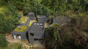 Casa Bruma, Fernanda Canales