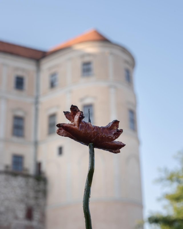 Od 26. do 28. května 2023 bude jihomoravský Mikulov hostit festival Křehký Mikulov. Na programu je designová přehlídka, tvůrčí workshopy i tradiční opékání buřtů