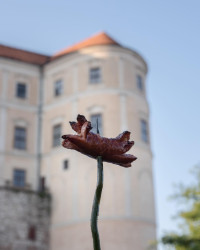 Od 26. do 28. května 2023 bude jihomoravský Mikulov hostit festival Křehký Mikulov. Na programu je designová přehlídka, tvůrčí workshopy i tradiční opékání buřtů