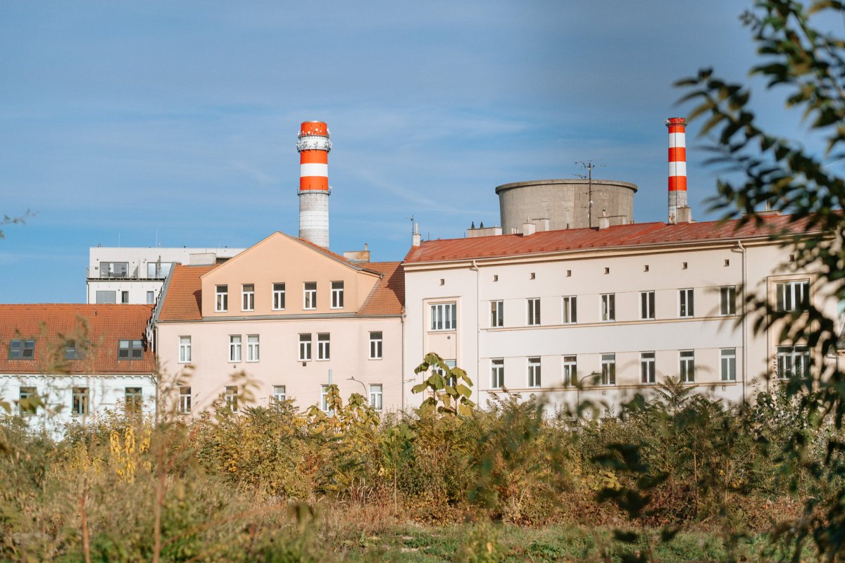 Radnice města Brno