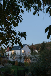 Dům před dvůr, DDAANN