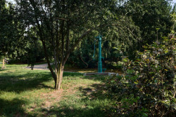 Obnova Riegrových sadů, Matouš Jebavý