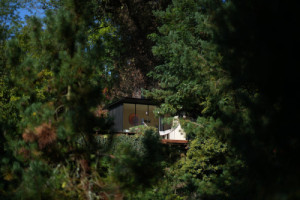Pozemek byl dlouho zarostlý a neobyvatelný, majitel ho nazývá roklinka. (Dřevěný domek v Podhájí; DDAANN)