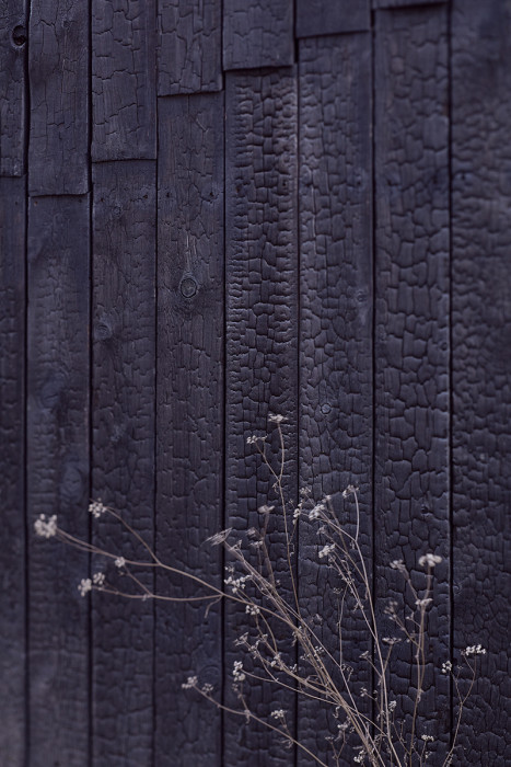 Rodinný dům Zadní Třebaň, 0,5 Studio/ Pavel Nový a Vít Svoboda