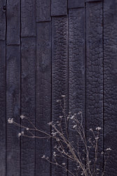 Rodinný dům Zadní Třebaň, 0,5 Studio/ Pavel Nový a Vít Svoboda