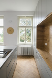 Rekonstrukce vinohradského bytu, No Architects,