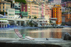 Společnost mmcité koupila Kovostal, na jejichž sedadlech se usadíte v pražské O2 aréně a na Olympijských stadionech v Mnichově a Berlíně.