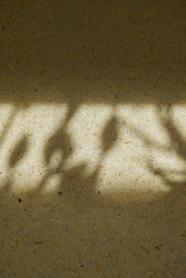 Interiér bytu v Praze od RDTH studia