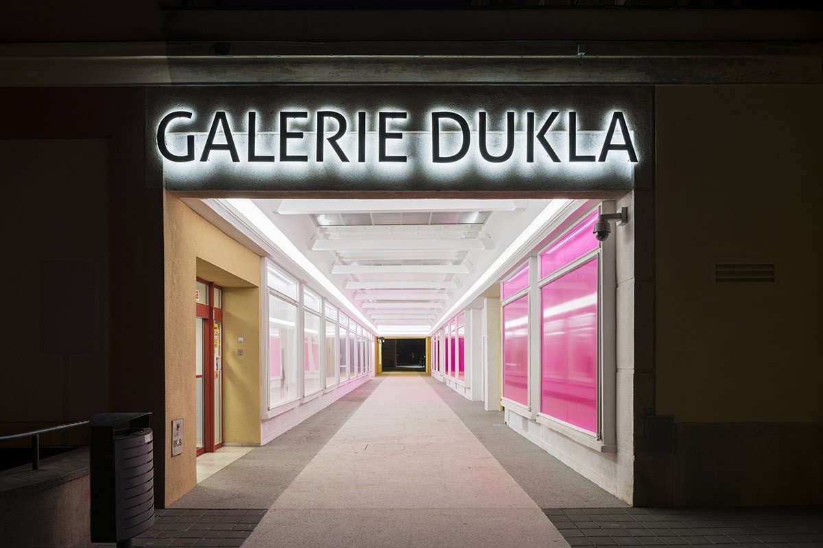 Výstava Petra Duba