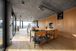 Rodinný dům Hainburg an der Donau, A3UM ateliér