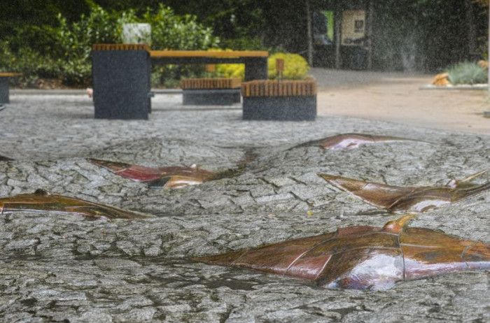 Alexandra Koláčková, Pochozí fontána s rejnoky, ZOO Zlín-Lešná - foto