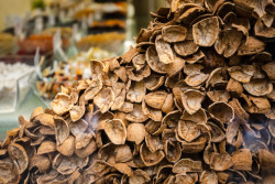 Soutěž o nejlepší výlohu vyhrála hravá instalace hory skořápek od designérek Adély Kadlčákové a Marie Sixtové.