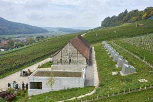 Taneční sál pod vinohradem, SPPA Architekten