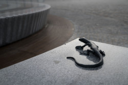 Rekonstrukce náměstí v Třebíči, Atelier RAW